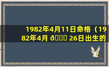 1982年4月11日命格（1982年4月 🐋 26日出生的 🐶 人的命运）